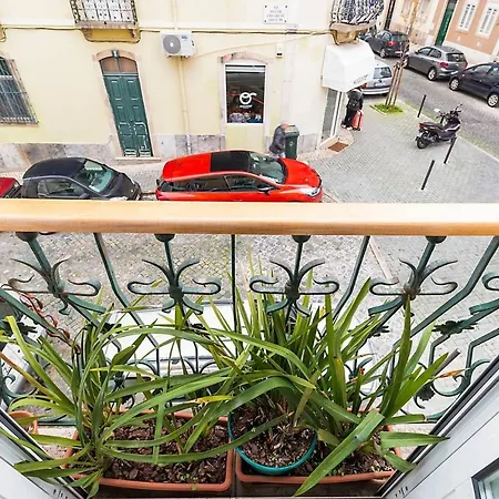 Apartment Spacious And Modern Flat In The Heart Of